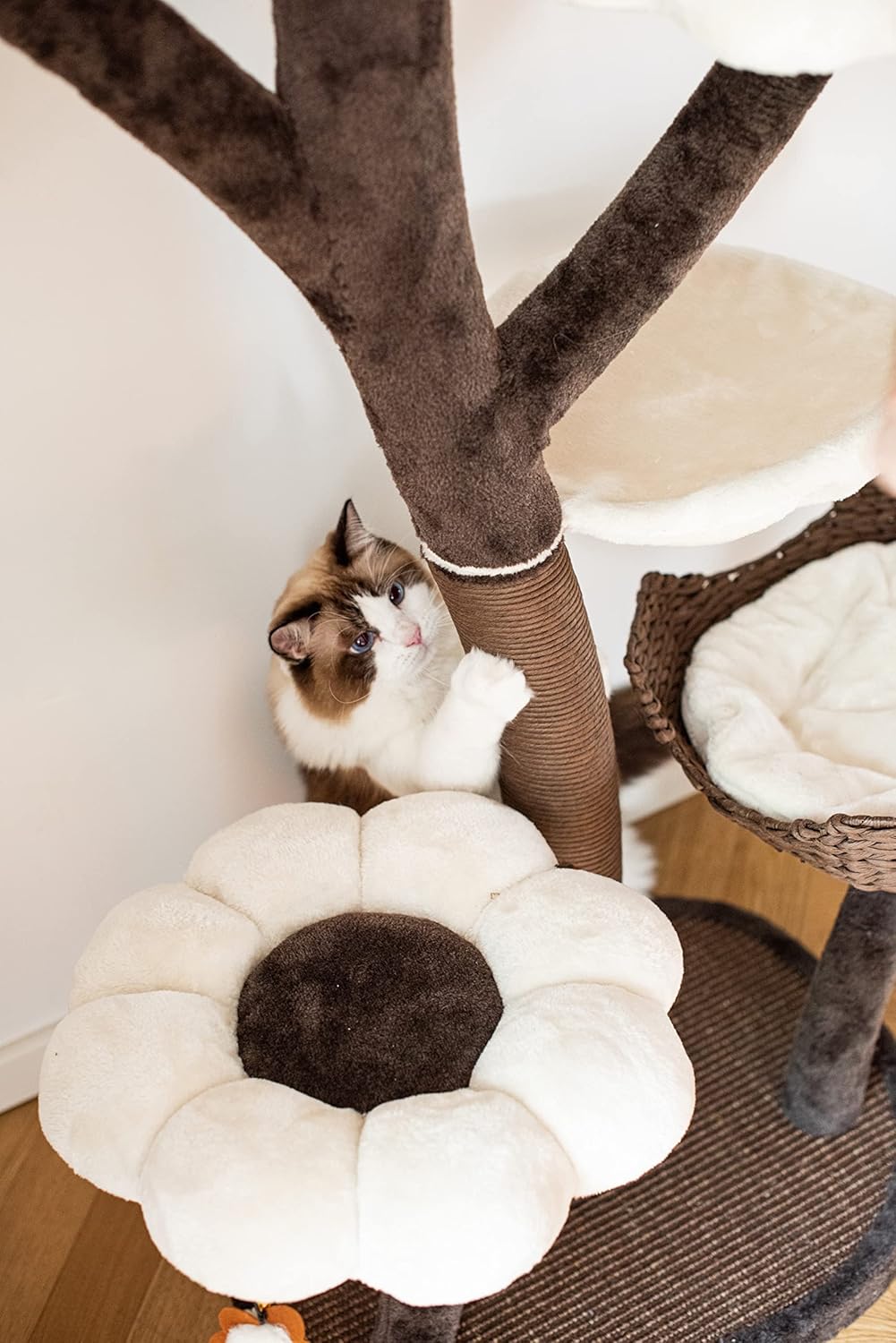 Catry Cat Tree Woodowoodo Cat Tower with Scratching Post and Hammock L2017