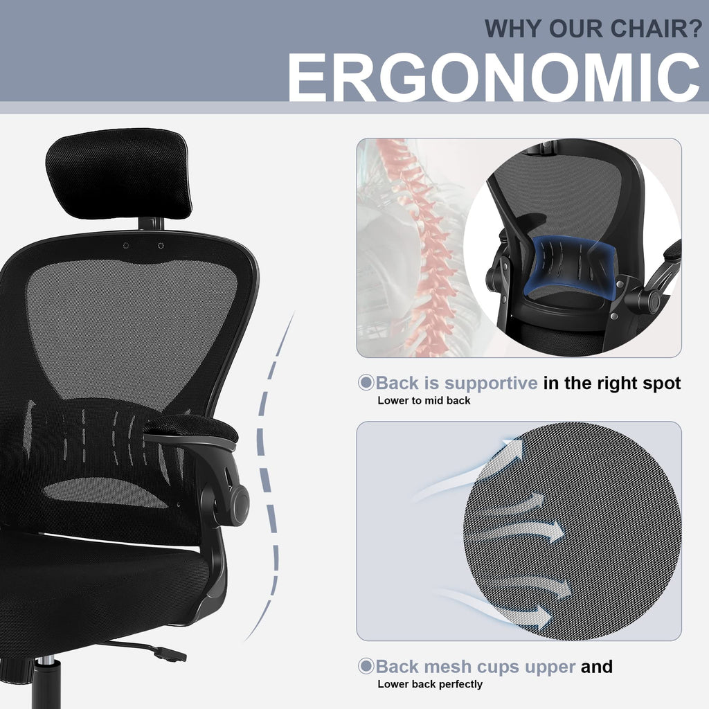 Flysky Ergonomic Mesh Office Chair with Lumbar Support, Black F6440