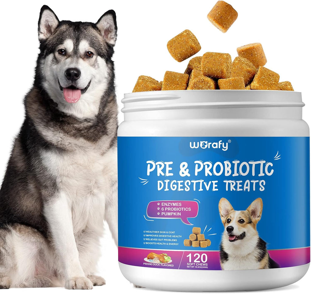 Pre and Probiotics for Dogs - Probiotic Dog Chews Support Digestive Health, Gut Health, Itchy Skin, Yeast Balance, Allergies, Immune Health - Duck Flavor - 120 Soft Chews - All Ages All Breeds