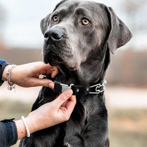 Herm Sprenger Prong Collar for Dog Training with Quick Release Cliclock, 2.25mm, Small/Medium C48075
