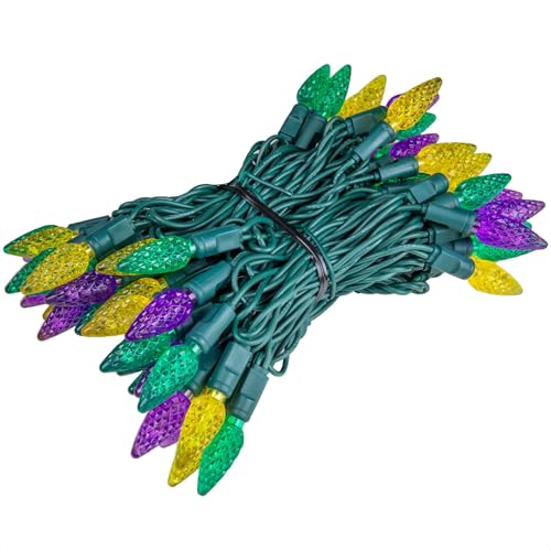 Novelty Lights 24ft 70 LED Purple/Lime Green Halloween String Lights L643884