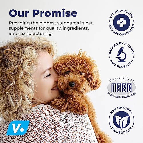 Vetnique Labs Glandex Anal Gland Fiber Supplement Powder for Dogs & Cats, Pumpkin & Digestive Enzymes, 2.5oz P53004