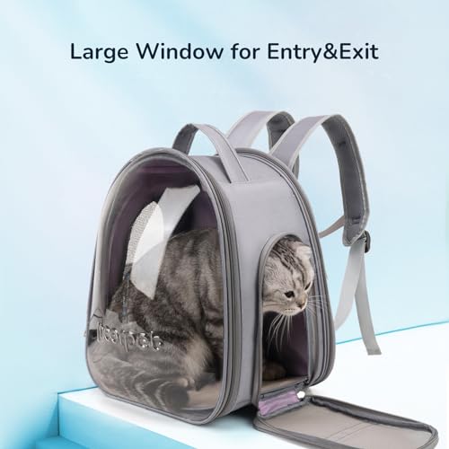 Cat Bubble Backpack, Airline Approved Pet Carrier for Large Cats, Grey P382