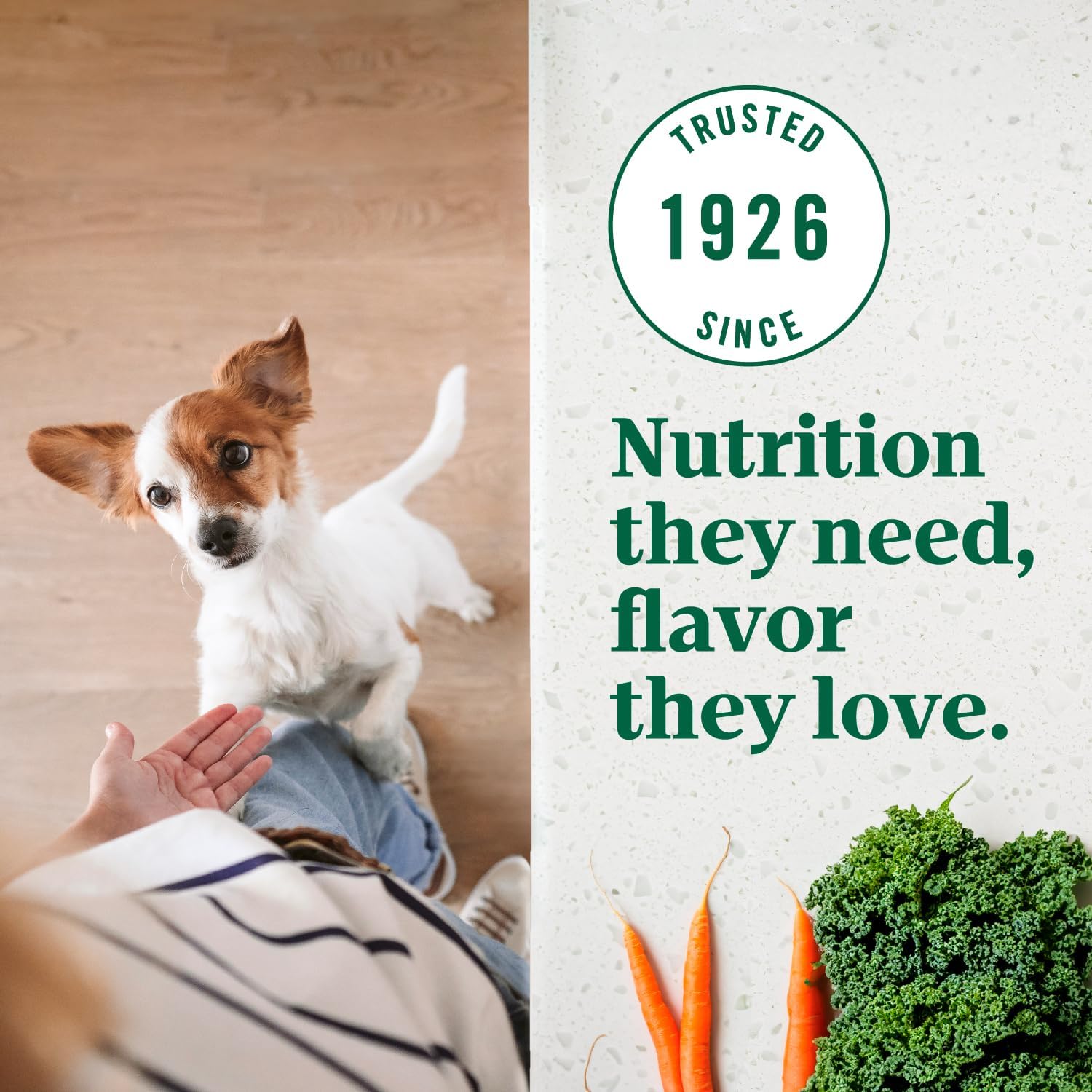 Nutro Ultra Adult Weight Management Small Breed Dry Dog Food, 12 lb. Bag A4909