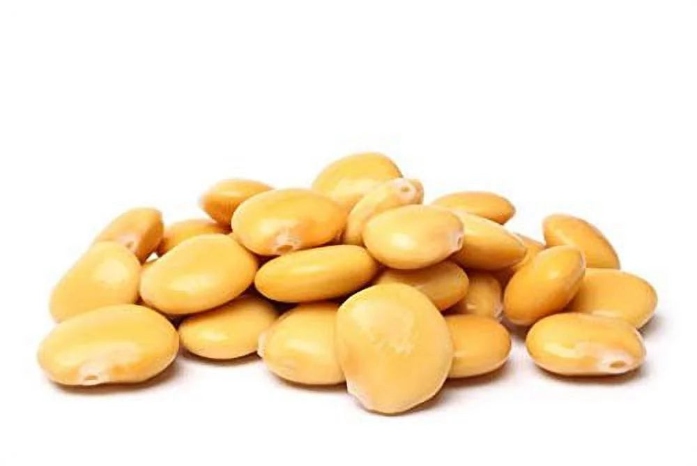 Joycie Ready To Eat Lupini Beans 32 oz Jar, Pack of 6 W21397