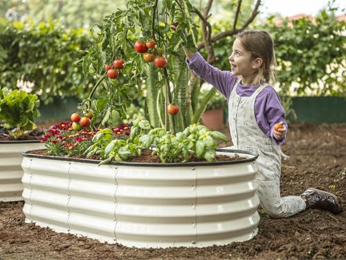 Galvanized Raised Garden Bed 4×2×1 ft Metal Planter Box for Vegetables, Flowers M146044