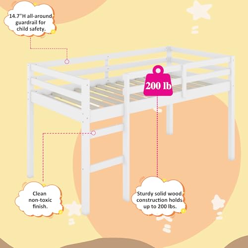 Twin Size Low Loft Bed with Ladder and Safety Guardrail, Solid Wood, White D5235