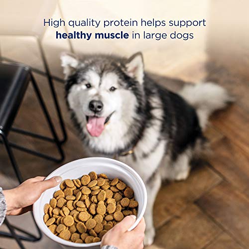 Natural Balance Large Breed Adult Dry Dog Food Lamb & Brown Rice, 26 lb B46116