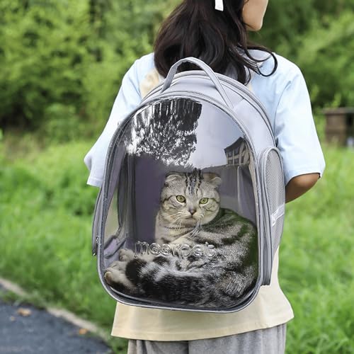 Cat Bubble Backpack, Airline Approved Pet Carrier for Large Cats, Grey P382