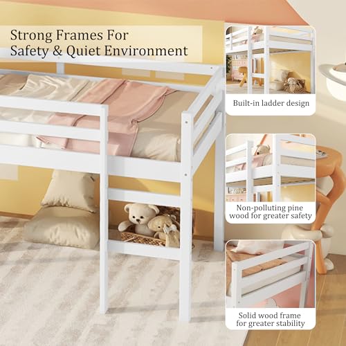 Twin Size Low Loft Bed with Ladder and Safety Guardrail, Solid Wood, White D5235