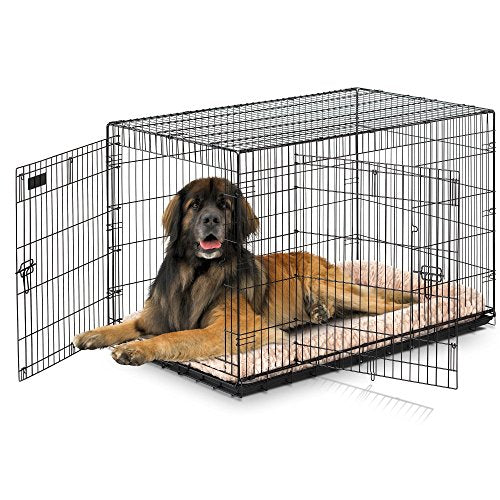 Precision Pet Products Two Door Wire Dog Crate, 48 Inch A83343