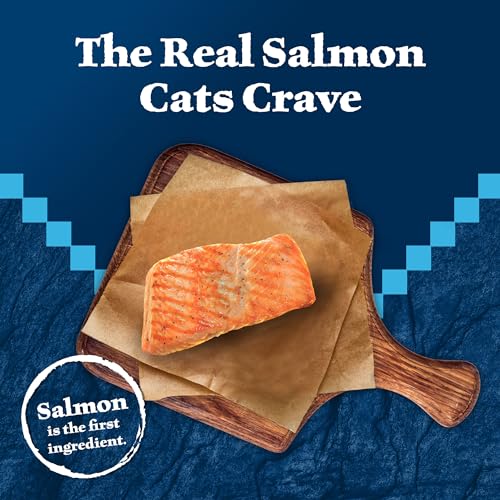 Blue Buffalo Wilderness Natural High-Protein Grain-Free Wet Cat Food Salmon Paté, 3-oz. Cans, 24 Count S6271