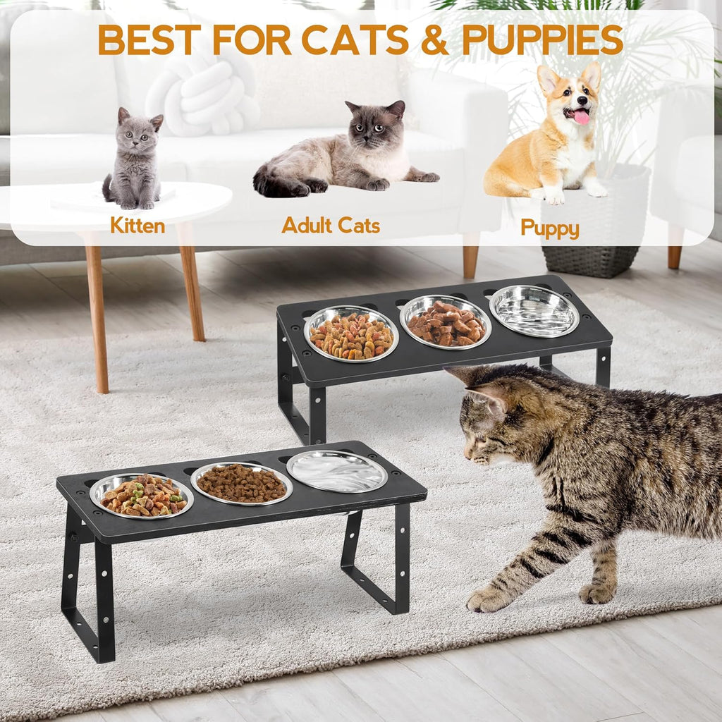 Elevated Cat Bowls 15° Tilted with Stainless Steel Stand for Food and Water B135302