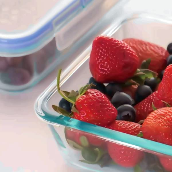 Snapware 2-Cup Rectangle Pyrex Glass Food Storage Containers, Pack of 2 A486