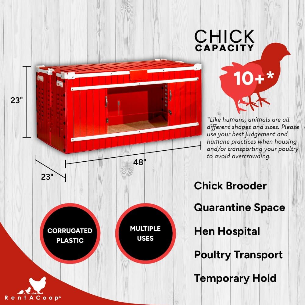 RentACoop Big Red Barn Chick Brooder Set with Heating Plate C34419