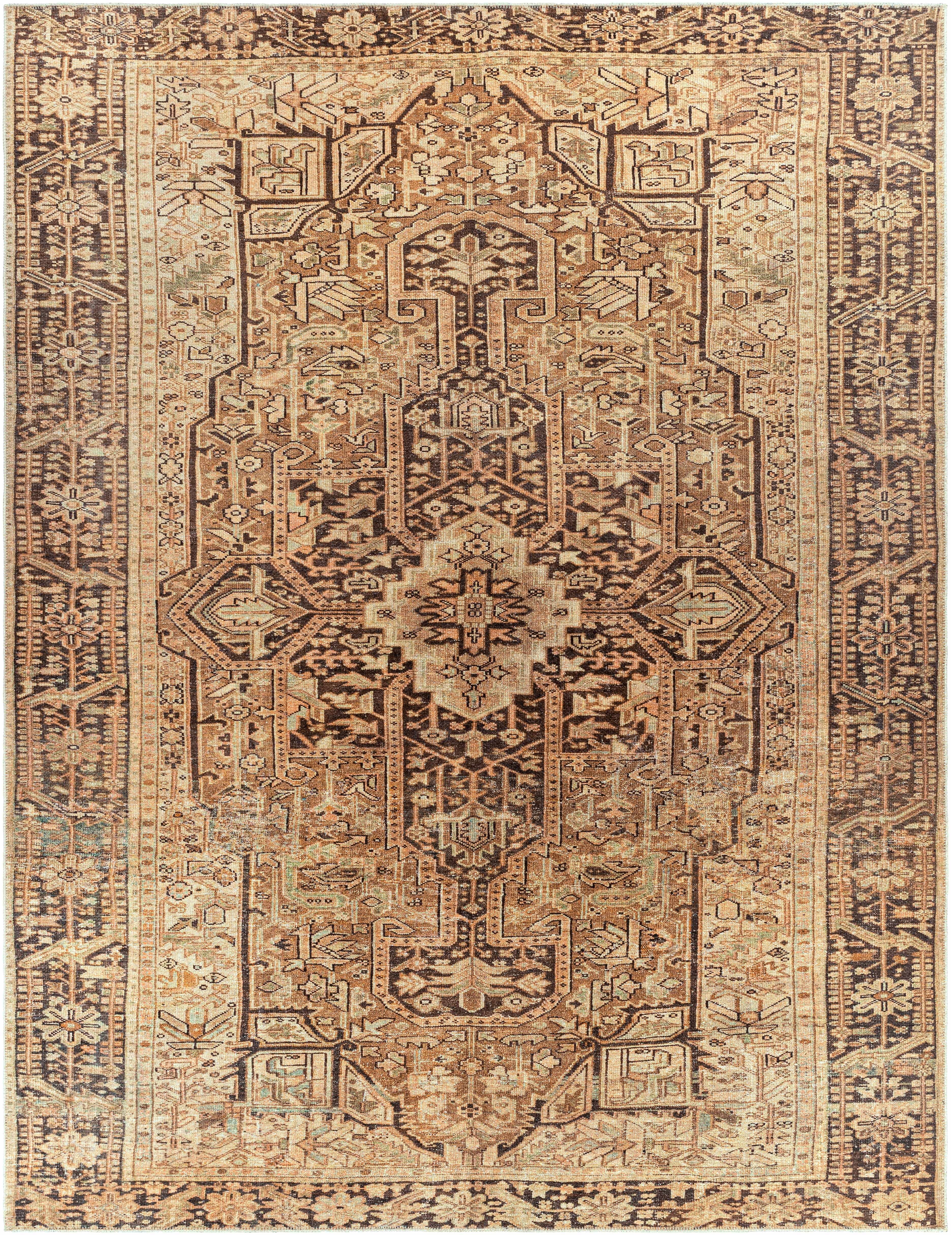 Hauteloom Buliran Traditional Machine Washable Area Rug Brown Green 7'10" x 10'2" Q78028