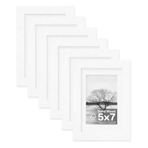 Egofine 8x10 Picture Frames Set of 6, Solid Wood with Plexiglass, White T6319