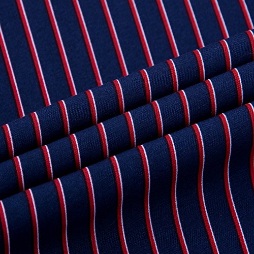 DOKKIA Men's Long Sleeve Striped Button Down Dress Shirt N65911