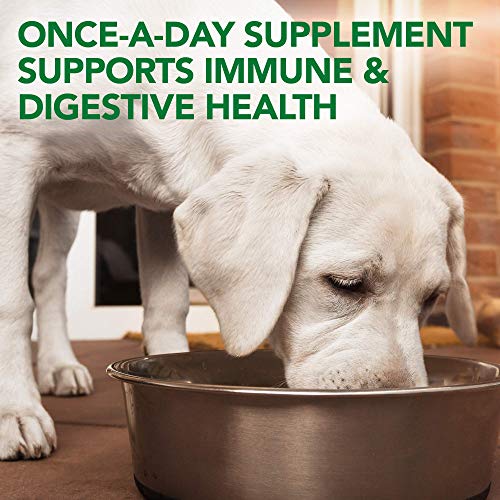 Vet's Best Probiotic Soft Chews Dog Supplement, 90 Day Supply Z925