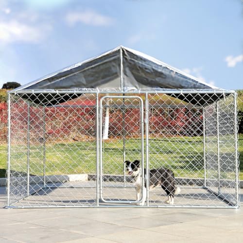 LEISU Outdoor Dog Kennel with Roof, Heavy Duty Chain Link Pet Playpen, 8 x 8 FT P8955