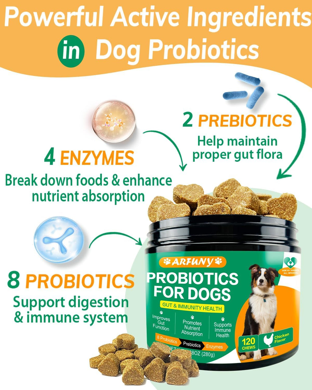 Probiotics Chews for Dogs with Digestive Enzymes, Chicken Flavor, 120 Count K371526