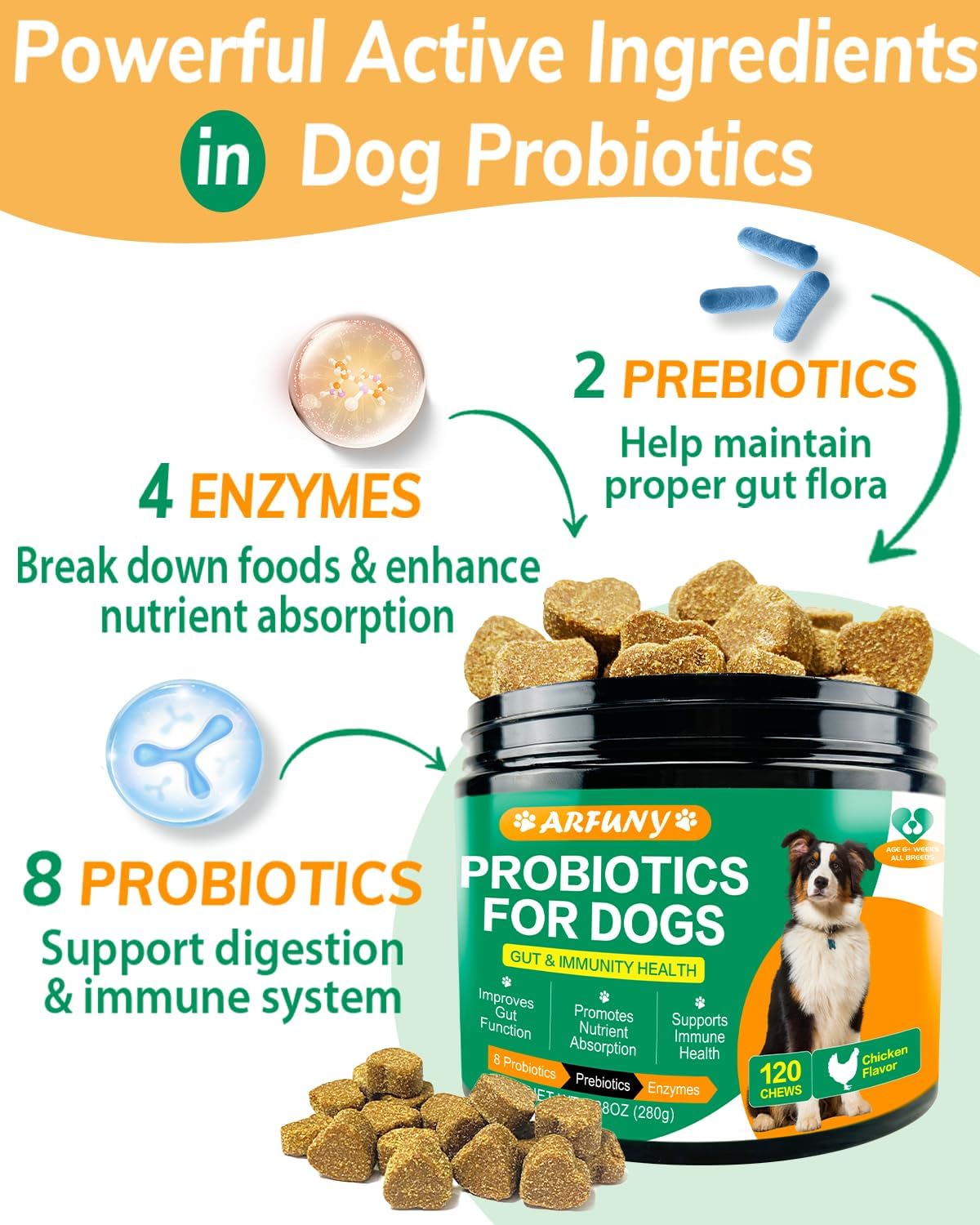 Probiotics Chews for Dogs with Digestive Enzymes, Chicken Flavor, 120 Count K371526