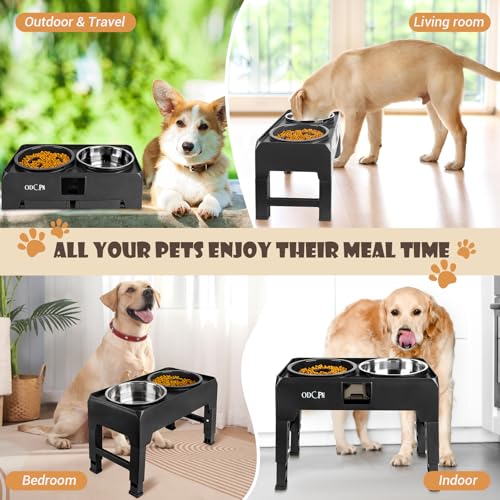 Elevated Slow Feeder Dog Bowls with Stand, 6 Height Adjustable, Stainless Steel, for Large Medium Dogs J17147