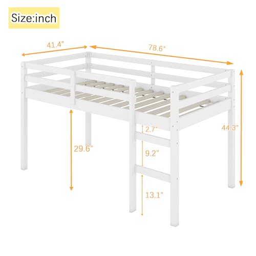 Twin Size Low Loft Bed with Ladder and Safety Guardrail, Solid Wood, White D5235