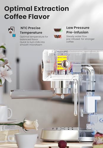 Gevi Espresso Machine 20 Bar with Auto Milk Frother, Stainless Steel D6478