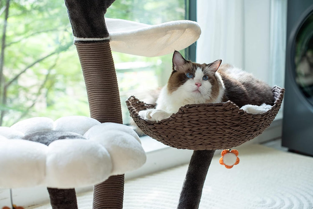 Catry Cat Tree Woodowoodo Cat Tower with Scratching Post and Hammock L2017