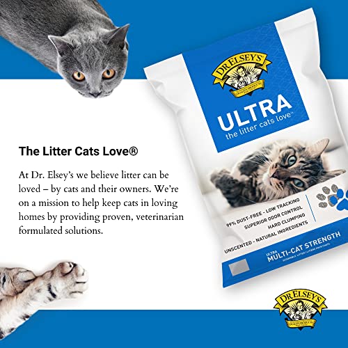 Dr. Elsey's Precious Cat Ultra Premium Cat Litter, 20-Pound Q171682