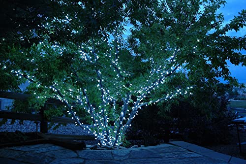 Novelty Lights 24ft 70 LED Purple/Lime Green Halloween String Lights L643884