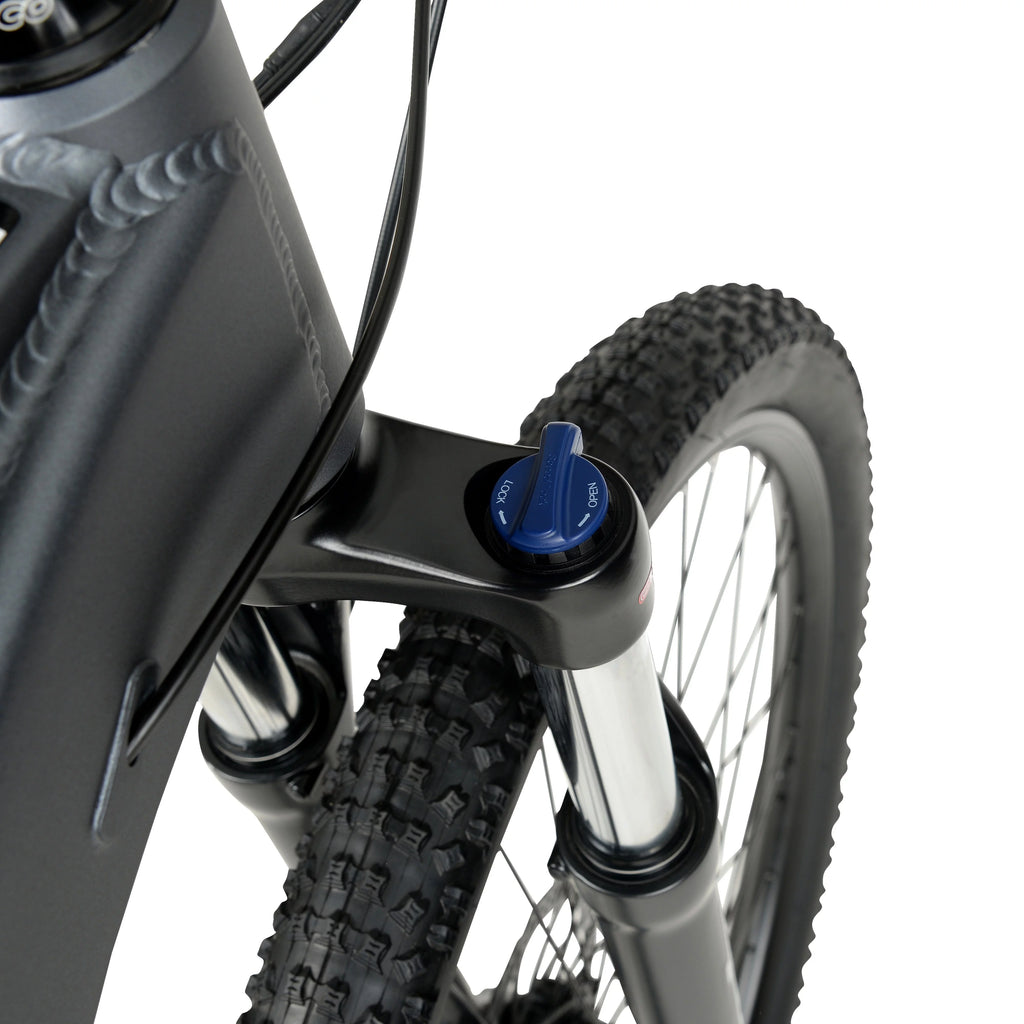 Hyper Bicycles E-Ride 29" 36V Electric Mountain Bike for Adults, Grey N5618