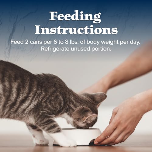 Blue Buffalo Wilderness Natural High-Protein Grain-Free Wet Cat Food Salmon Paté, 3-oz. Cans, 24 Count S6271