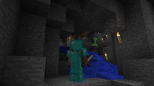 Minecraft - Nintendo Switch Z4812
