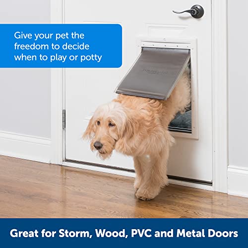 PetSafe Extreme Weather Pet Door for Large Dogs Up to 100 lb C15734