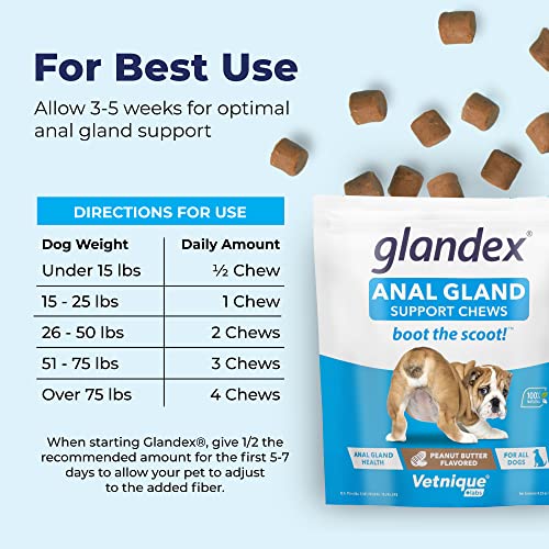 Glandex Anal Gland Soft Chew Treats with Pumpkin for Dogs, Peanut Butter, 30ct T234690