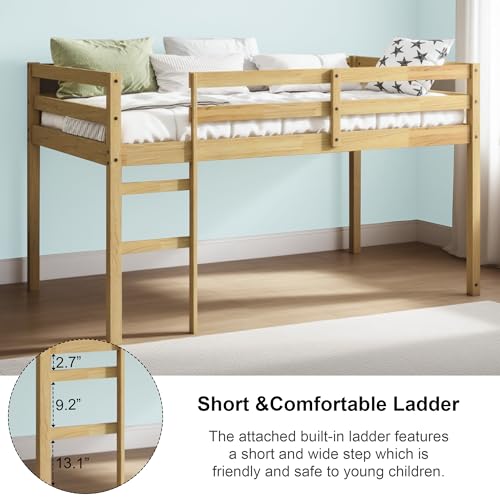 Twin Size Low Loft Bed with Ladder and Safety Guardrail, Solid Wood, White D5235