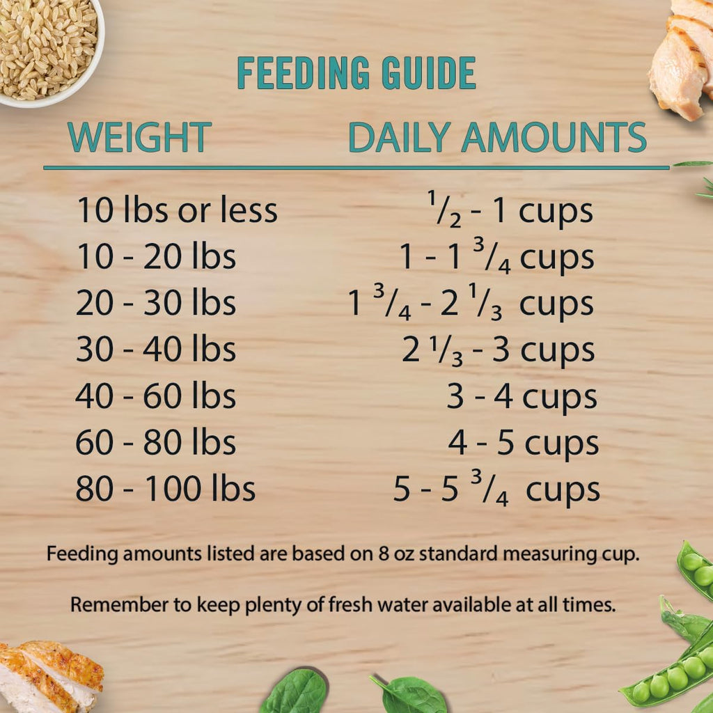Chicken Soup for the Soul Grain Free Salmon & Sweet Potato Dry Dog Food, 4LB G572