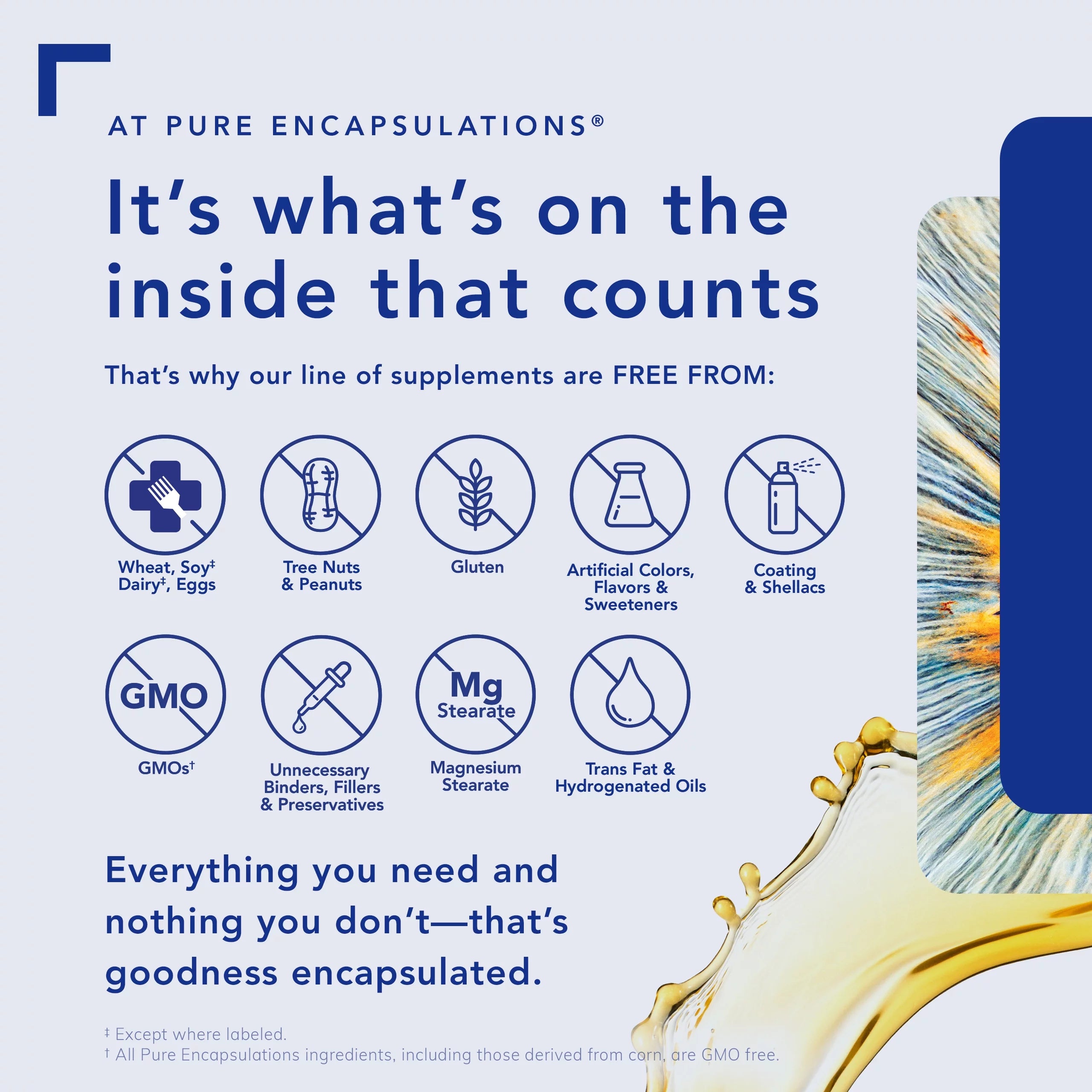 Pure Encapsulations Renual Muscle Function & Cellular Energy Support, 60 Capsules U632331
