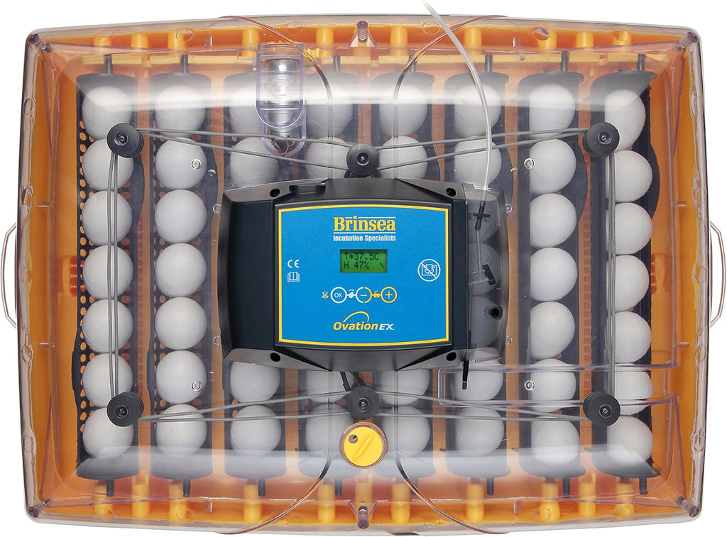 Brinsea Products Ovation 56 EX Fully Automatic Egg Incubator with Humidity Control Y6174