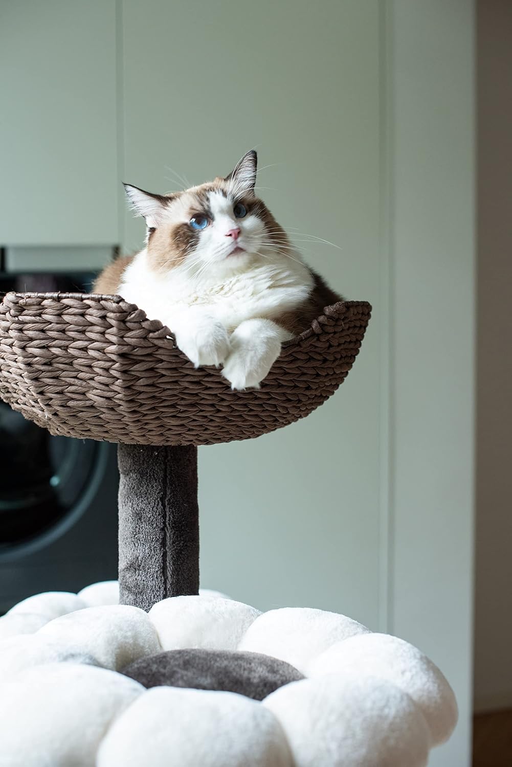 Catry Cat Tree Woodowoodo Cat Tower with Scratching Post and Hammock L2017