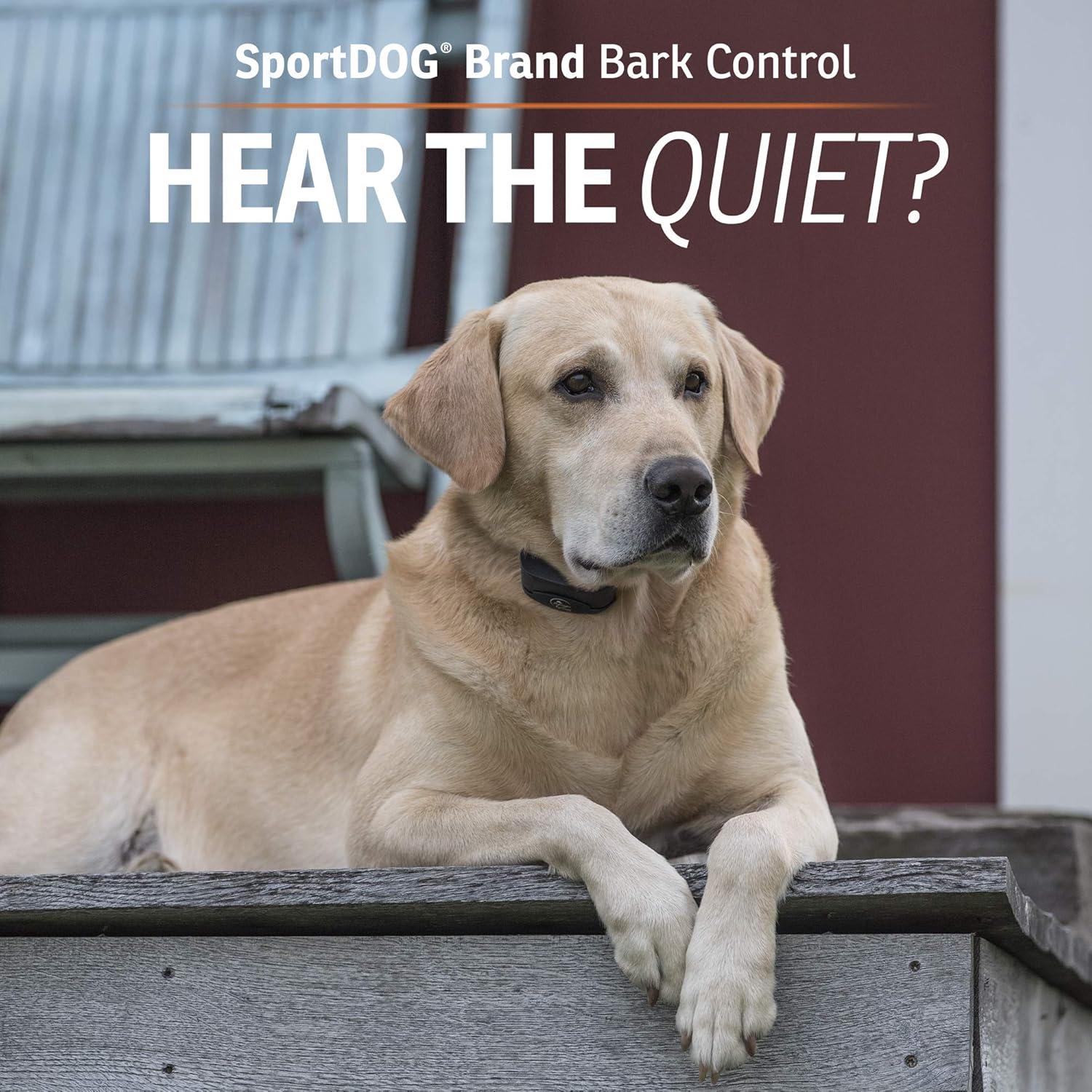 SportDOG Brand NoBark SBC-R Bark Collar - Rechargeable, Waterproof O810