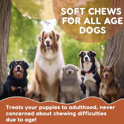 Probiotics for Dogs with Pumpkin & Fish Oil - 120 Soft Chews U723356