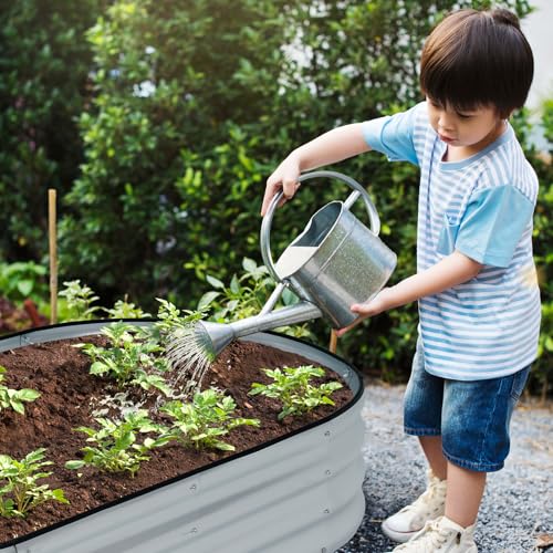 LINEX Galvanized Raised Garden Bed 4x2x1 ft Metal Planter Box T46320