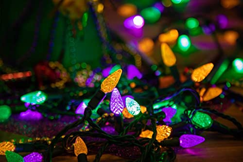 Novelty Lights 24ft 70 LED Purple/Lime Green Halloween String Lights L643884