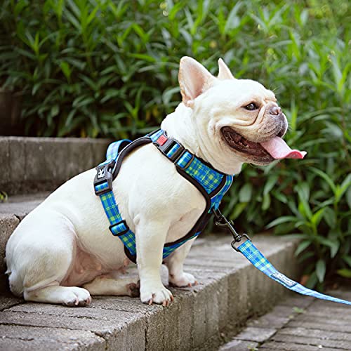 PoyPet No Pull Dog Harness Reflective Adjustable No Choke Pet Vest with 2 Leash Attachments, Purple S B927