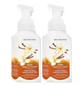 Bath and Body Works Gentle & Clean Foaming Hand Soap 8.75 Ounce 2-Pack (Warm Vanilla Sugar)