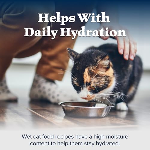 Blue Buffalo Wilderness Natural High-Protein Grain-Free Wet Cat Food Salmon Paté, 3-oz. Cans, 24 Count S6271