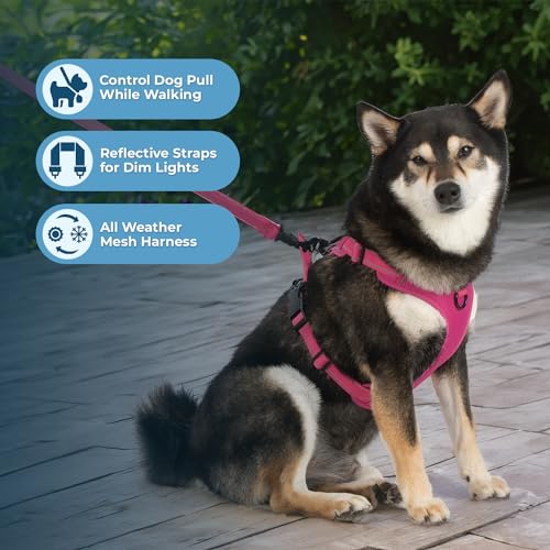 Voyager Dog Harness No-Pull Adjustable Reflective Pet Harness for Medium and Large Dogs - Purple Lattice, XS F50831
